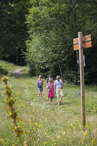 Forêt de Giron - Champfromier