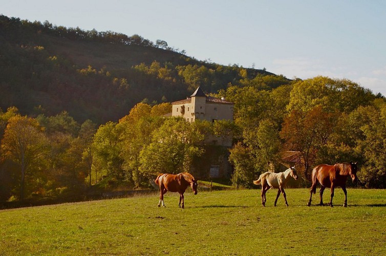 Château de Saint Quentin la Tour
