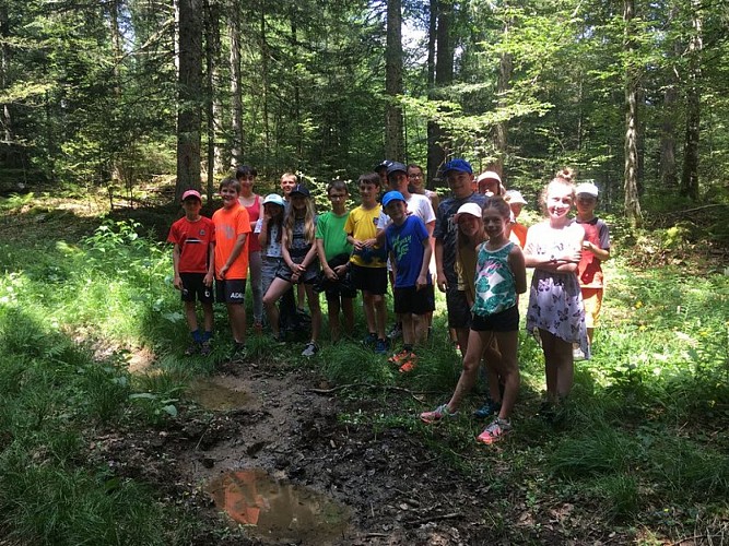 La gouille aux tritons