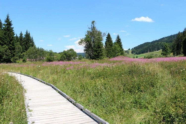 Sentier du lac de Lamoura
