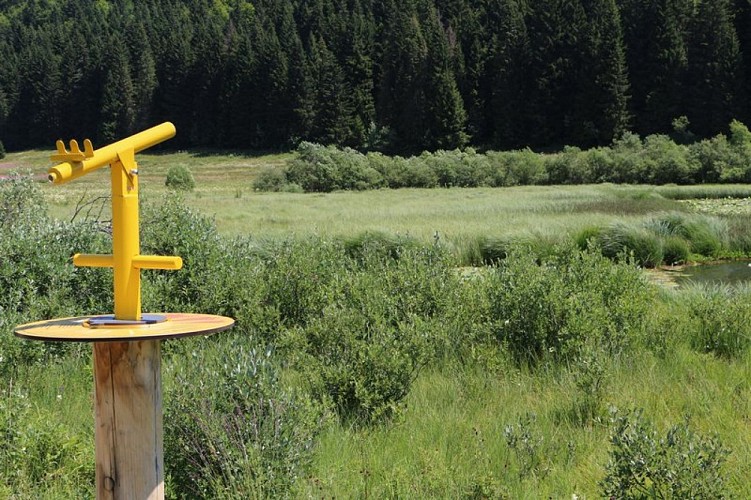 Sentier du lac de Lamoura