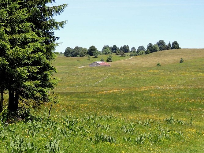 Prairies du Cernétrou