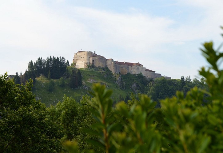 VTT' - Le Fort de Joux n°80 - Pontarlier