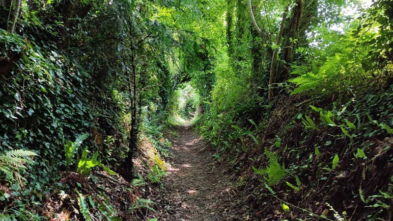 Boucle de Pen ar Wazh | Plestin les Grèves