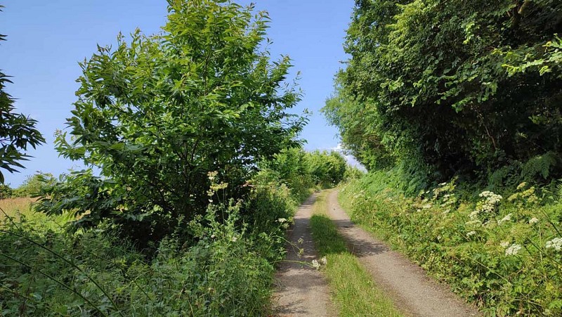 Boucle de Pen ar Wazh | Plestin les Grèves