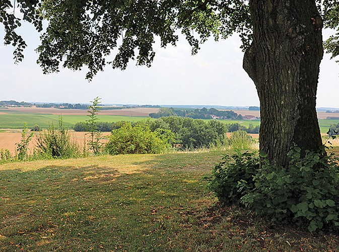 Autour de Doue, randonnée pédestre à Doue, proche de Provins