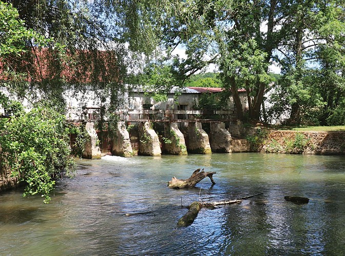 L’Emprunt, randonnée pédestre à La Trétoire, proche de Provins.