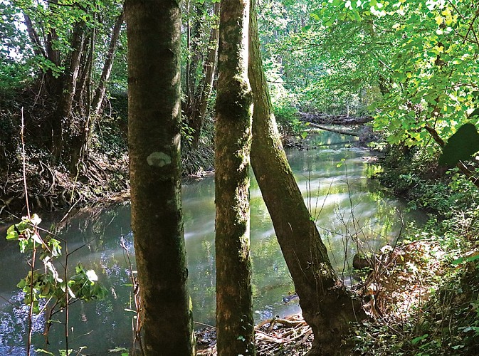 La haute vallée du Grand-Morin, randonnée pédestre à La Ferté-Gaucher, proche de Provins