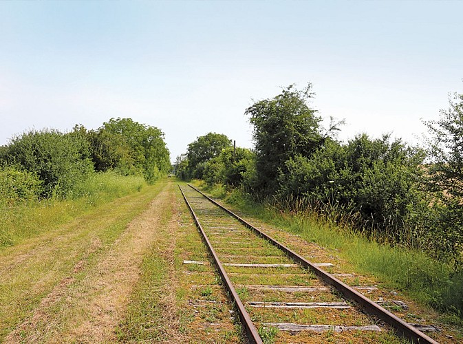 Le circuit de Cormeaux, randonnée pédestre à La Ferté-Gaucher, proche de Provins