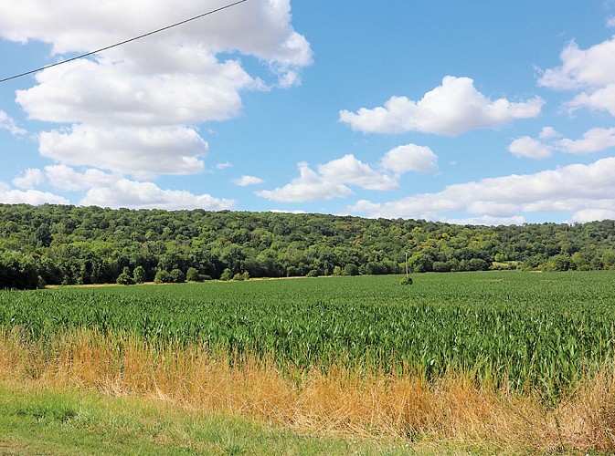 Balade à travers nos histoires, randonnée pédestre à Saint-Ouen-sur-Morin, proche de Provins