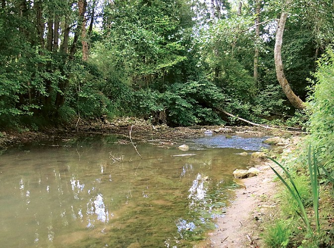 Eglise au fond d’un hameau, randonnée pédestre à Bellot, proche de Provins