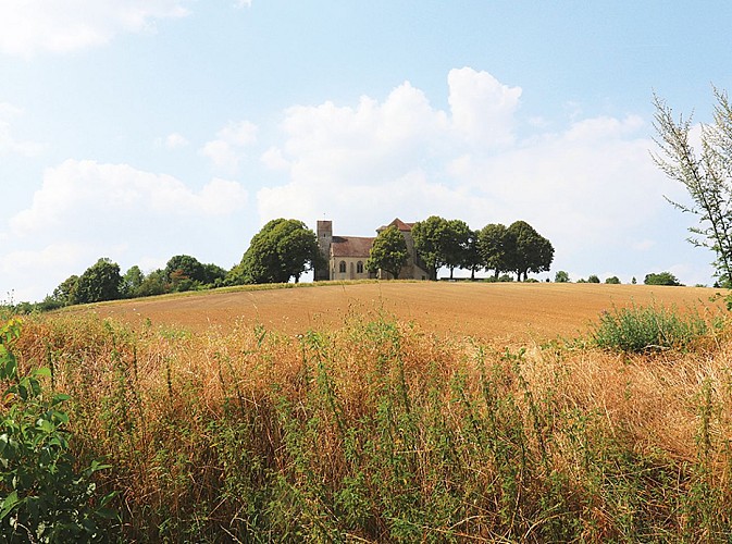 De la butte à la forêt, randonnée pédestre à Doue, proche de Provins