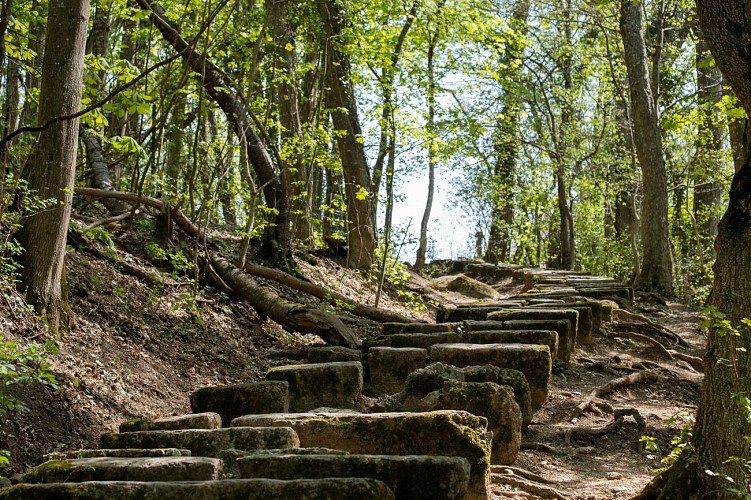 Itinerario a piedi : le Pas de l'Échelle