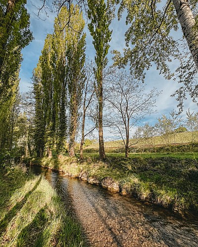 The banks of the river Foron