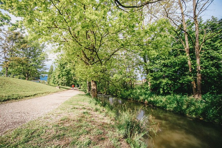 The banks of the river Foron