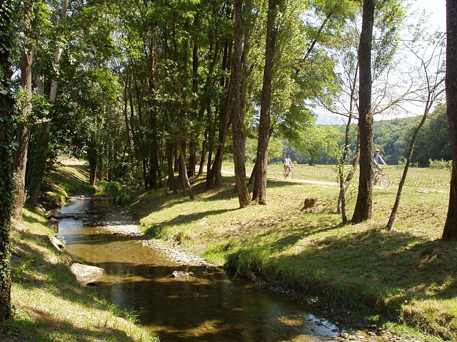 The banks of the river Foron