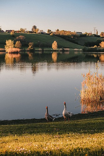 The banks of the river Foron