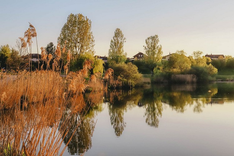 The banks of the river Foron