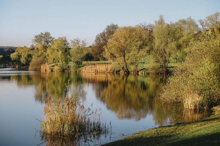 The banks of the river Foron