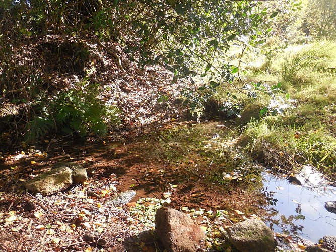 Source_Creuse_2