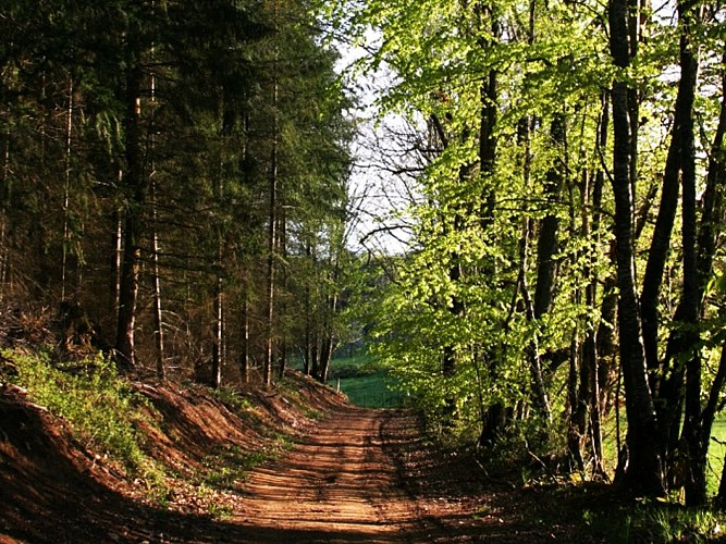 Le vallon du Trakloup ©Aubusson Felletin Tourisme