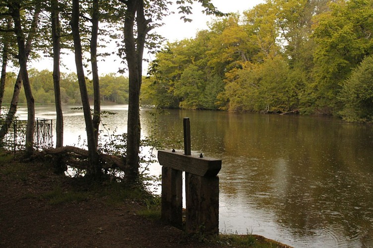 Etang de la Saumagne.jpg_1