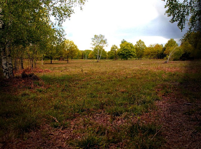 Circuit pédestre n°15 La Saumagne - rando bambin