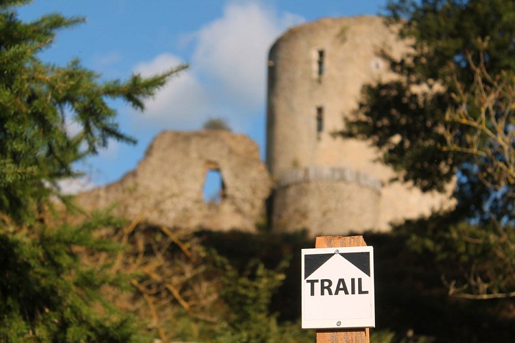 Cazitrail chateau de Bridiers