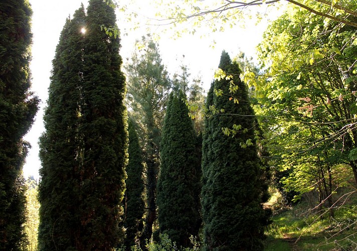 Circuit pédestre n°10 Le bois de la Fôt - rando bambin