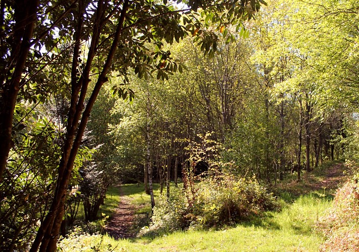 arboretum de la fot au printemps 4