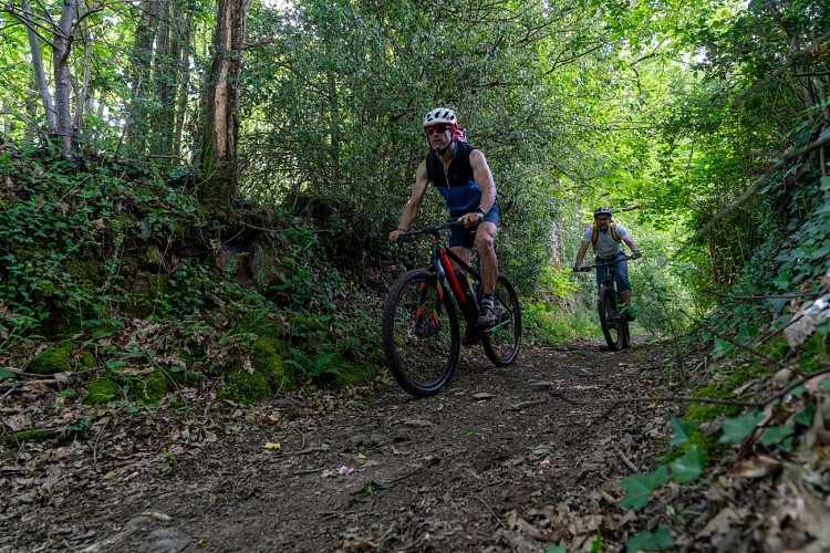 Circuit VTT n°25 - Périple autour de la Chaume