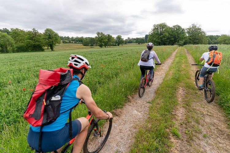 Circuit VTT n°24 - Le chemin du Marchat