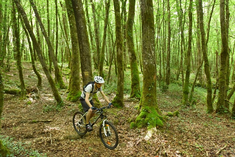 Circuit VTT n°23 - Aux alentours de l'étang de la Chaume