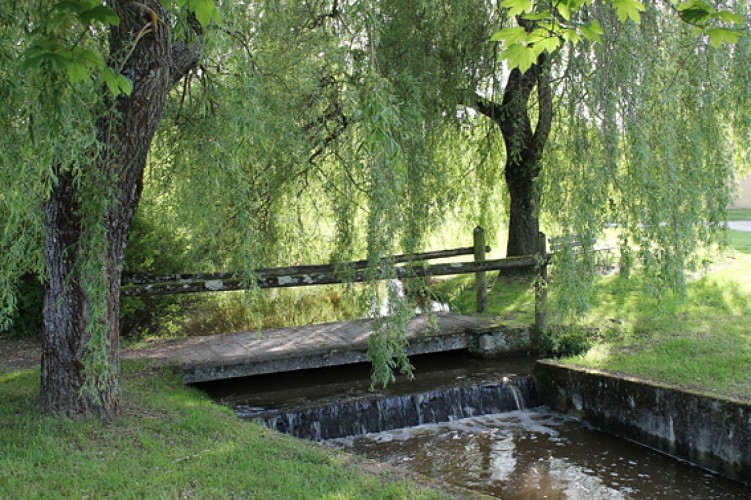 Circuit pédestre n°12 La Chapuisette - rando bambin