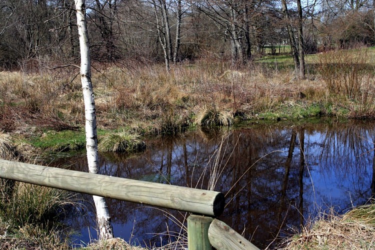 la Chapuisette 1.jpg_1