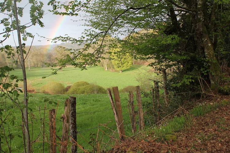 D'Aigueperse Ö la Cazine 1.jpg_1