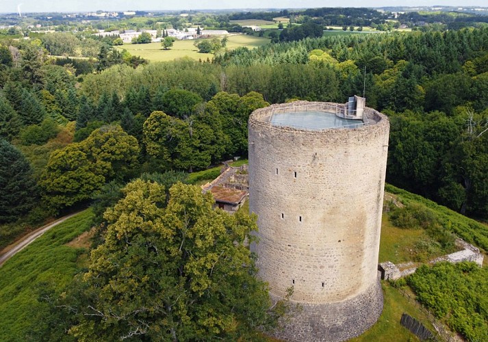 donjon de Bridiers vue aérienne