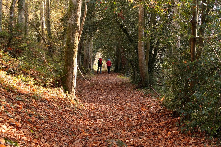 Circuit pédestre n° 6 Randoguide la Faille des Trois Provinces