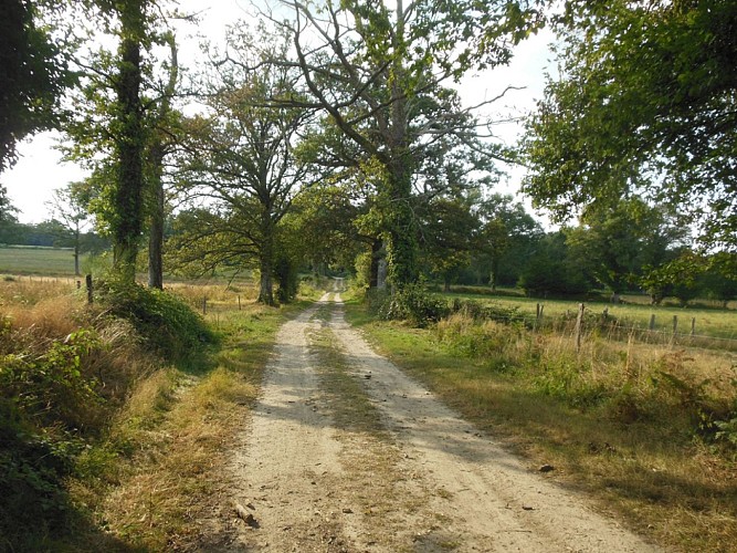 Circuit Pédestre N°3 Vers le Bois Cornu