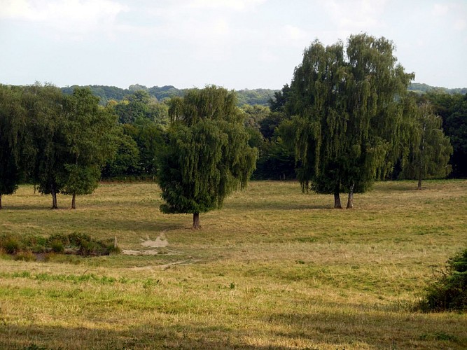 Circuit Pédestre N°3 Vers le Bois Cornu