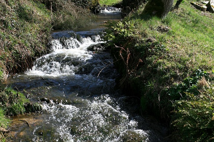 Circuit pédestre n°13 Un coup d'oeil à la Benaize