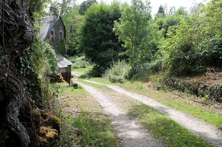 Circuit pédestre n°13 Un coup d'oeil à la Benaize