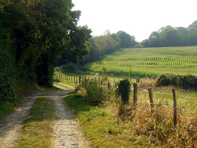 Circuit pédestre n°1 Sur les hauteurs d'Azérables