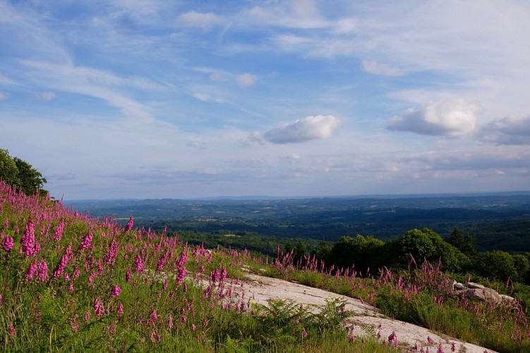 Rando-guide des Monts de Saint-Goussaud