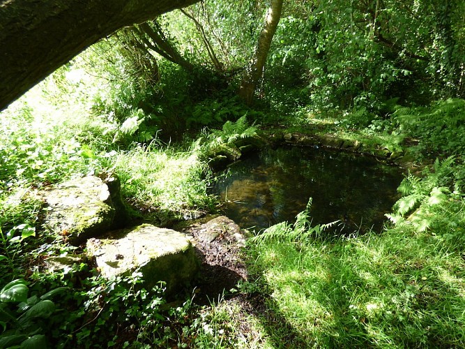 Randoguide les etangs de la Cazine 4.JPG_4