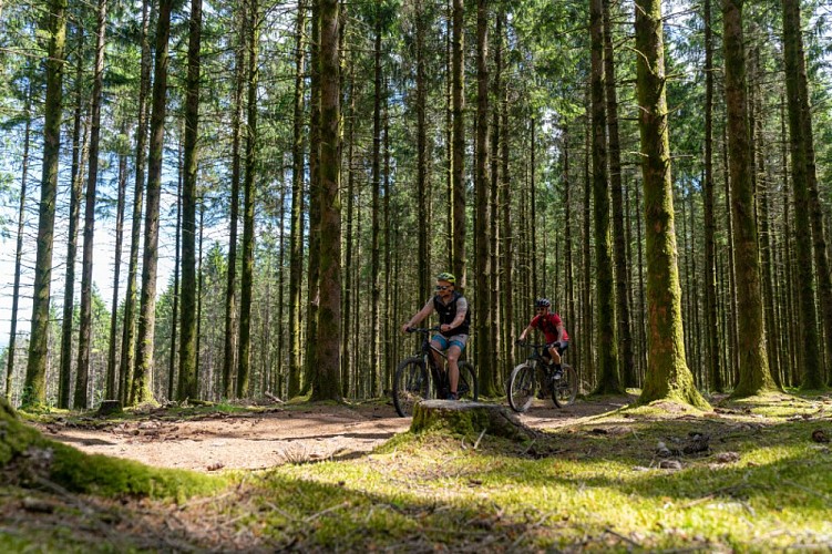 Saint-Vaury_Sainte-Feyre-GTC-VTT-2021-Guillaume-CONDAT---Creuse-Tourisme6.jpg-800px