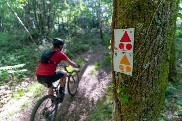 Saint-Vaury_Sainte-Feyre-GTC-VTT-2021-Guillaume-CONDAT---Creuse-Tourisme2.jpg-1024px