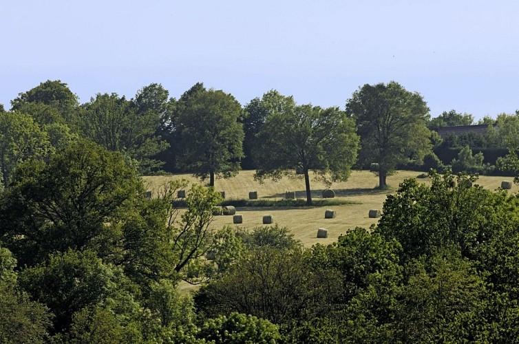 Les Méandres de la Gartempe Boucle locale 9