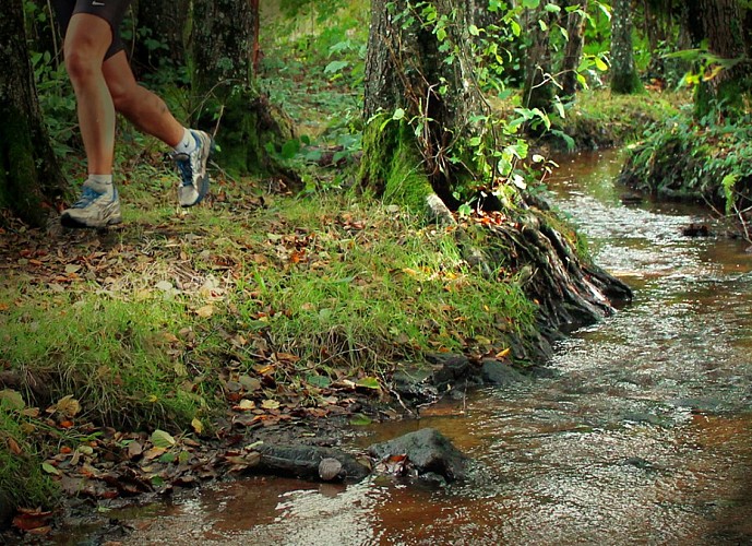 Parcours Uni'Vert Trail 4 SOSTRAIL ruisseau du Mas