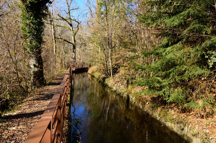 Circuit Pédestre N°67 : "Sentier de découverte de la cascade des Jarrauds"